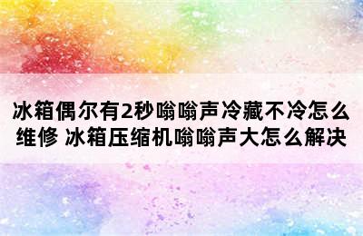 冰箱偶尔有2秒嗡嗡声冷藏不冷怎么维修 冰箱压缩机嗡嗡声大怎么解决